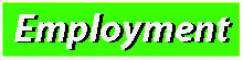 employment icon